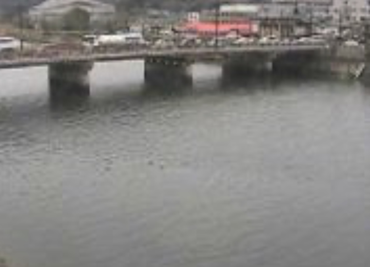 水俣川・新水俣橋 ライブカメラ/熊本県水俣市