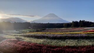 虹の花まつり・富士山 ライブカメラと雨雲レーダー/山梨県富士河口湖町