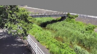 韮山古川・中条橋 ライブカメラと雨雲レーダー/静岡県伊豆の国市