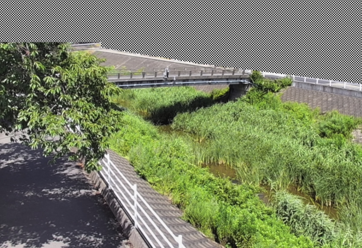 韮山古川・中条橋 ライブカメラ/静岡県伊豆の国市