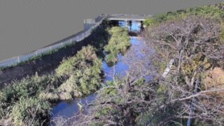 沖之川 ライブカメラと雨雲レーダー/静岡県袋井市