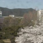 岐阜大学ライブカメラ(3ヶ所)