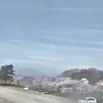 舟津公園ライブカメラ