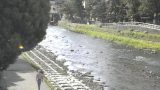 浅野川 ライブカメラと雨雲レーダー/石川県金沢市