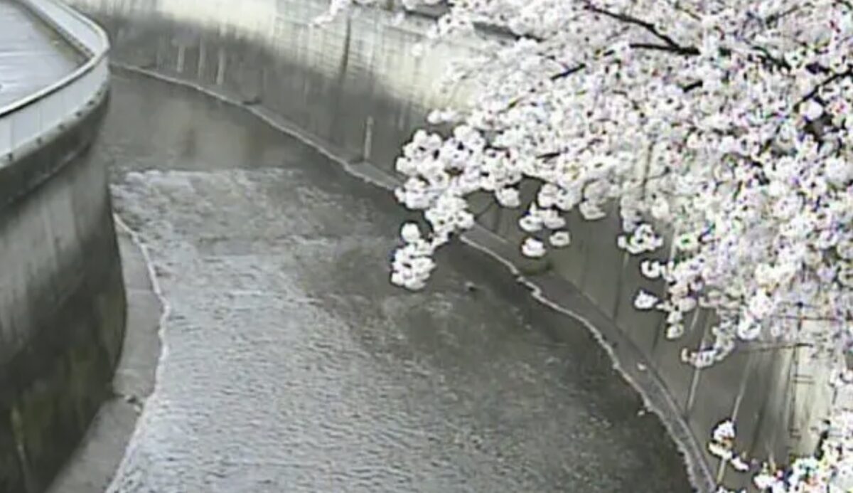石神井川のライブカメラ一覧・雨雲レーダー・天気予報