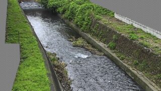 滝川・原田橋 ライブカメラと雨雲レーダー/静岡県富士市