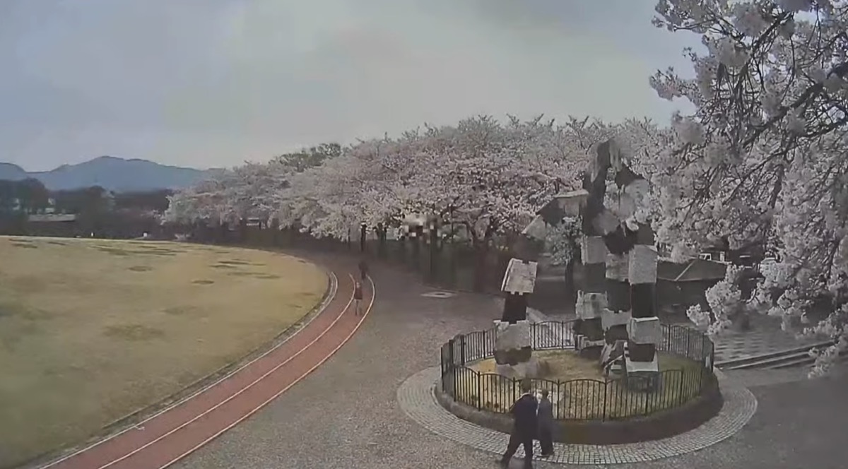 東御中央公園 桜並木 ライブカメラ/長野県東御市