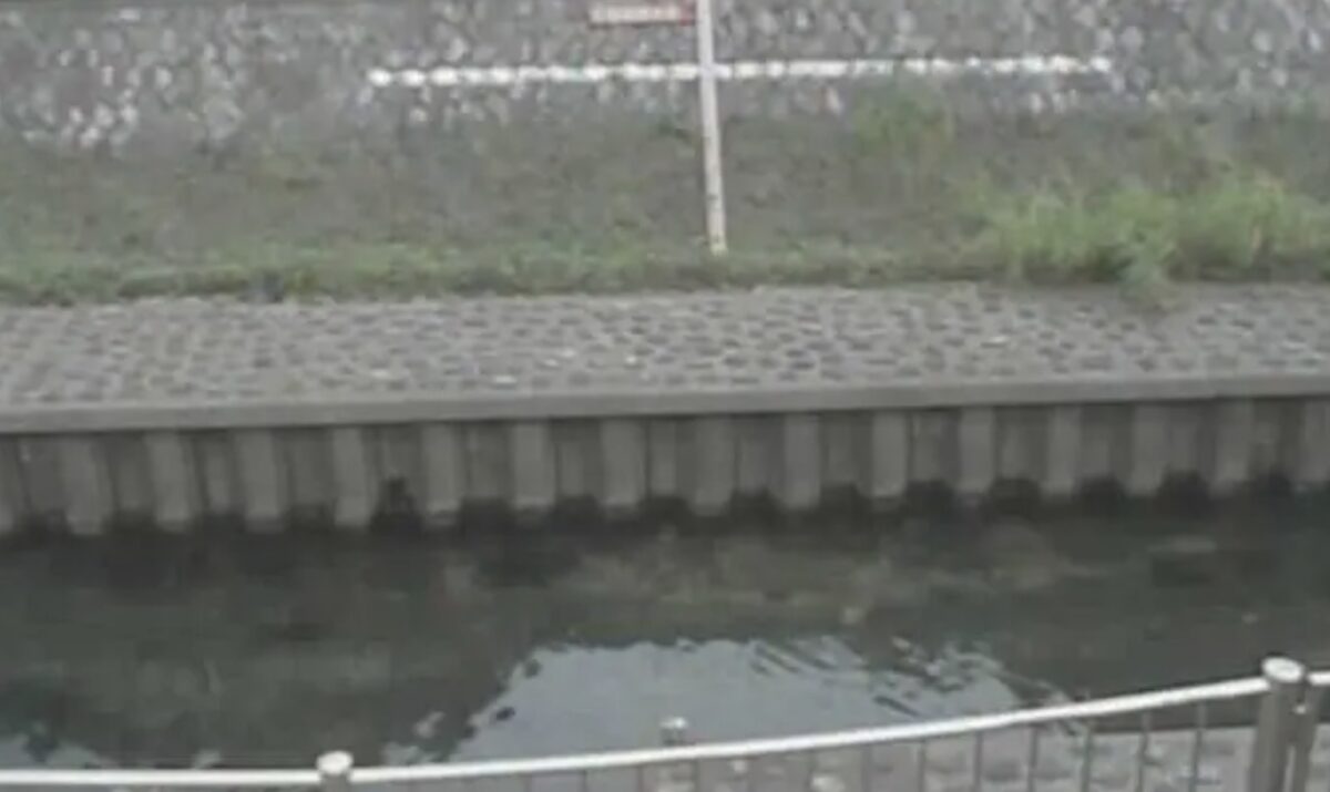 善福寺川のライブカメラ一覧・雨雲レーダー・天気予報